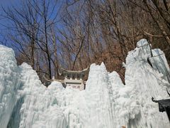 -陕西省红河谷森林公园