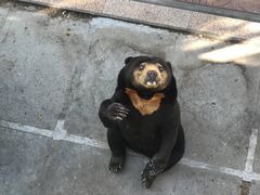 -西霞口神雕山野生动物世界