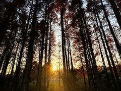 -南通濠河风景名胜区