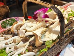 -南门四季铜锅涮肉(左家庄店)