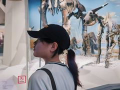 -国家自然博物馆