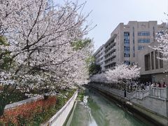 -东南大学(四牌楼校区)