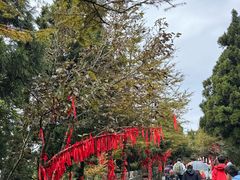 -南岳衡山风景名胜区