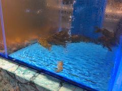 -海底捞火锅(长宁路龙之梦店)