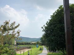 -石塘人家