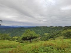 -关山草原