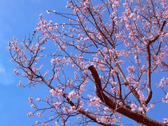 -朝阳公园游乐园