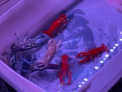 -华声天桥民俗文化园