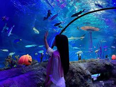 -沈阳海洋探索中心