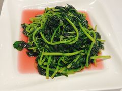 -天福苑(崇宁路店)