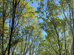 -云岗森林公园