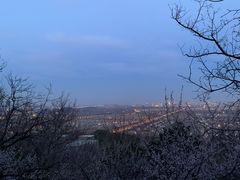 -北京西山国家森林公园