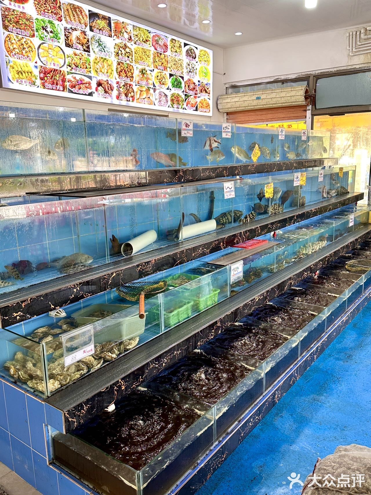 🦞海陵岛挖到宝了！人均50+实现海鲜自由 