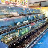 🦞海陵岛挖到宝了！人均50+实现海鲜自由 