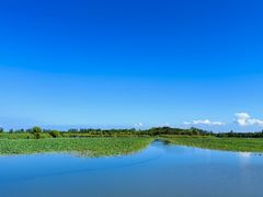 -泗洪洪泽湖湿地景区