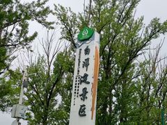-白洋淀景区