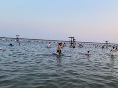 -碧海金沙