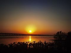 -宝安西湾红树林湿地公园