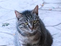 -南京市江宁方山