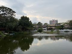 -顺峰山公园