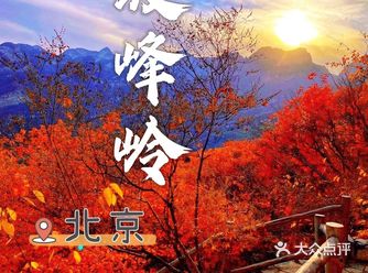 北京团建|最佳赏秋地坡峰岭，错过等一年