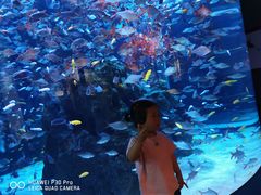 -成都浩海立方海洋公园