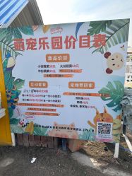 -前小桔亲子创意农场·草莓采摘·露营烧烤