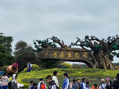-长廊欢乐园
