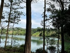 -红花湖景区