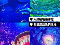 -海合安天津极地海洋公园