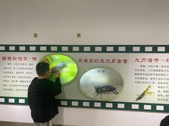 -上海昆虫博物馆