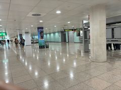 -巴塞罗那约瑟·塔拉德利亚斯-埃尔·普拉特机场
