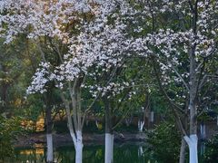 -白塘生态植物园