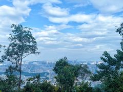 -阳台山森林公园