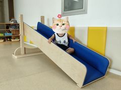 -金禾国际幼儿园