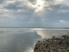 -宝安西湾红树林湿地公园