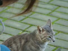 -华东政法大学(松江校区)