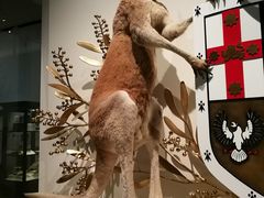 -墨尔本博物馆(Melbourne Museum)
