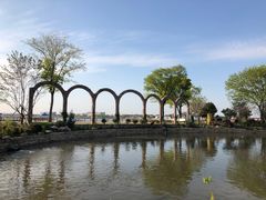 -鹅湖玫瑰文化园