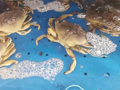 -香山湖渔家大院