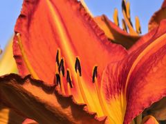 -汉长安城未央宫国家考古遗址公园