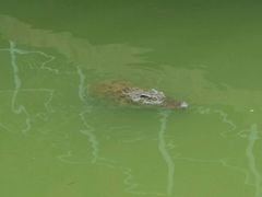 android_upload_pic-广东茂名森林公园