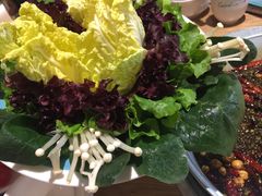 -青瓷火锅料理(西单大悦城店)