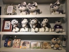 -TrueLove @ Neverland (Husky Cafe)