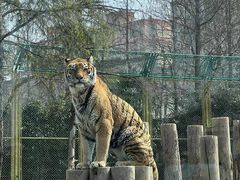 -上海野生动物园