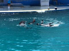 -北戴河圣蓝海洋公园