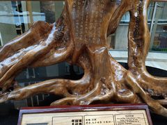 -峨眉山世纪阳光大酒店(峨眉高铁站店)