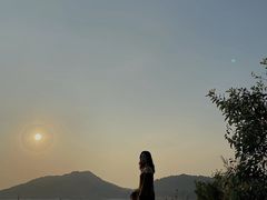-广东惠东海龟国家级自然保护区