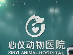 -心仪动物医院·牙专科·肿瘤·心脏科(西客站院)