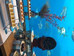 -瑞德姆美人鱼海底演艺主题餐厅(亚龙湾店)